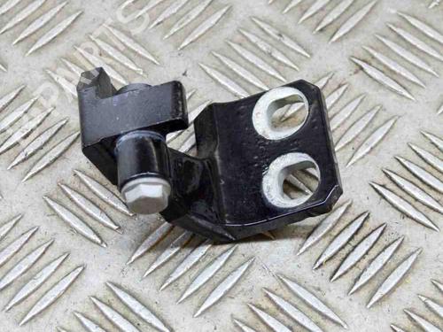 Hinge/Door check strap MASERATI QUATTROPORTE VI 3.0 S Q4 | BP14644250C146 