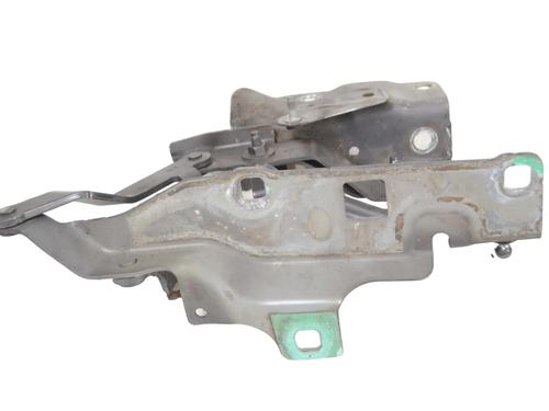 Hinge/Door check strap LAND ROVER DISCOVERY V (L462) 2.0 Sd4 4x4 | BP30251489C146