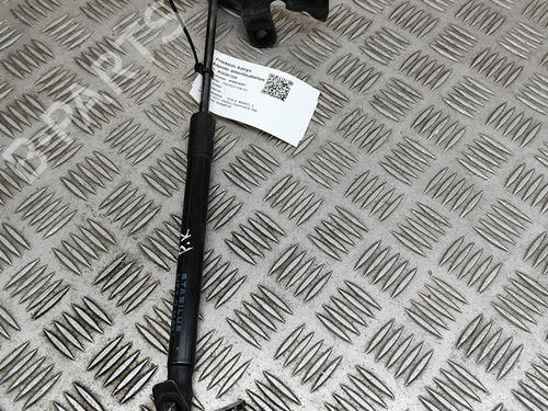 Used Hood lift support TESLA MODEL 3 (5YJ3) EV AWD (351 hp) 28554490
