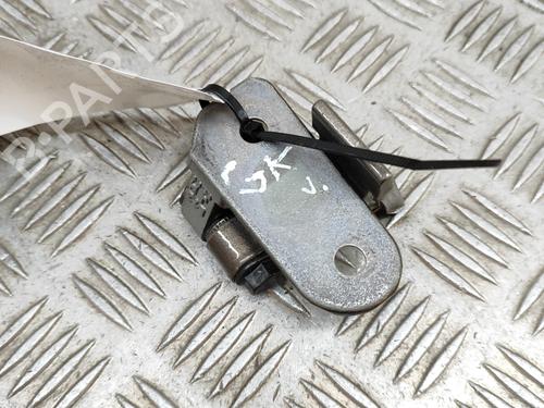 Hinge/Door check strap BMW 5 (G30, F90) 530 e Plug-in Hybrid | BP17768071C146 
