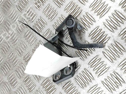 Hinge/Door check strap MASERATI GHIBLI III (M157) 3.0 | BP23562520C146 