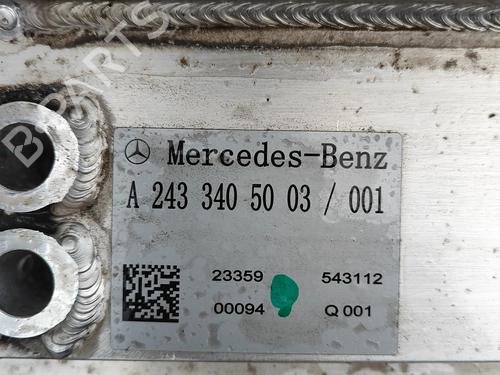 Battery MERCEDES-BENZ EQA (H243) EQA 250+ (243.702) | BP31528596E11 