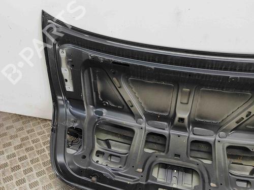 Tailgate BMW 7 (F01, F02, F03, F04) 740 d | BP29752754C6 