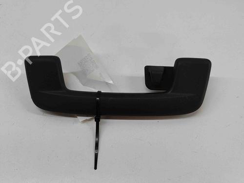 Interior roof handle AUDI E-TRON (GEN) 55 quattro | BP29404326I35 