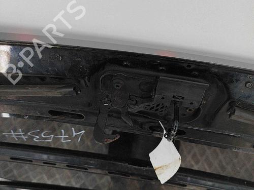 Hood VW CADDY III Box Body/MPV (2KA, 2KH, 2CA, 2CH) 2.0 SDI | BP29730646C1 