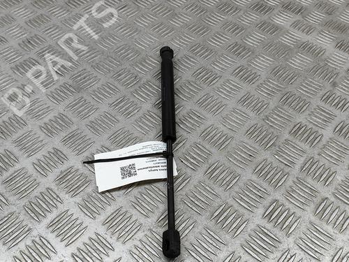 Hood lift support LAND ROVER RANGE ROVER EVOQUE (L538) 2.0 D 4x4 | BP24975785C139 