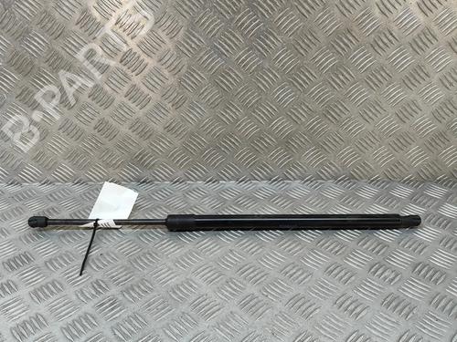 tailgate-lift-support-nissan-qashqai-iii-j12-2021-28171735 main image