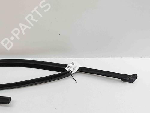 Door moulding trim BMW X3 (G01, F97, G08) xDrive M40 i | BP29487647C150 
