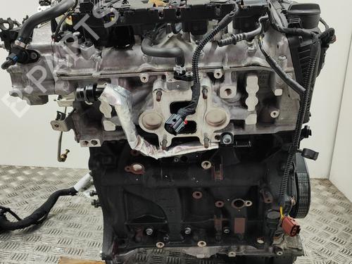 Engine AUDI A5 (F53, F5P) 35 TFSI Mild Hybrid | BP28436766M1 