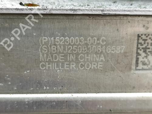 Electronic module TESLA MODEL 3 (5YJ3) EV | BP32269290M83 