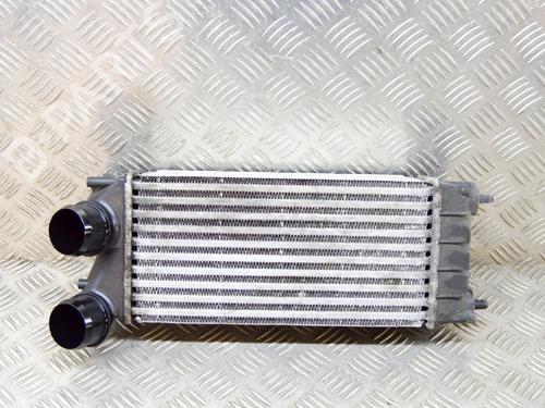Intercooler PEUGEOT 3008 I MPV (0U_) 1.6 HDi (112 hp) 11395802