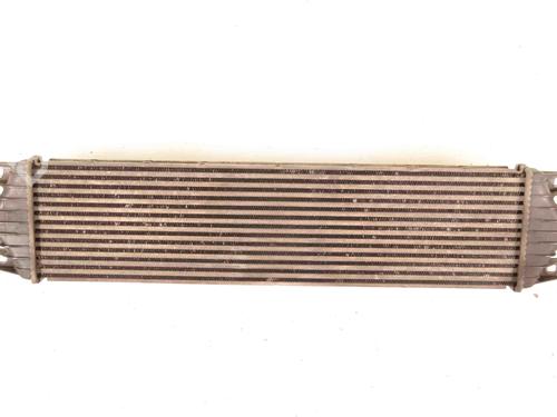 Intercooler RENAULT MASTER II Van (FD) 2.5 dCi (FD01, FD02, FD21, FD22, FD31, FD32, FD3Y, FD71,... | BP30217193M30