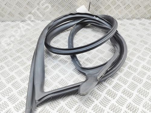 Gummiliste TESLA MODEL 3 (5YJ3) EV | BP38515831C142 - Image 3