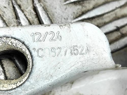 Hinge/Door check strap MAN TGE Van 2.0 TDI (01V, 03V, 36V, UYB, UYC, UYD) | BP31976947C146 