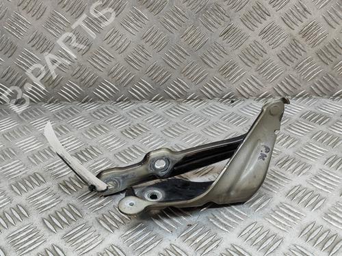 Hinge/Door check strap SKODA OCTAVIA III Combi (5E5, 5E6) 1.8 TSI 4x4 | BP17226172C146 