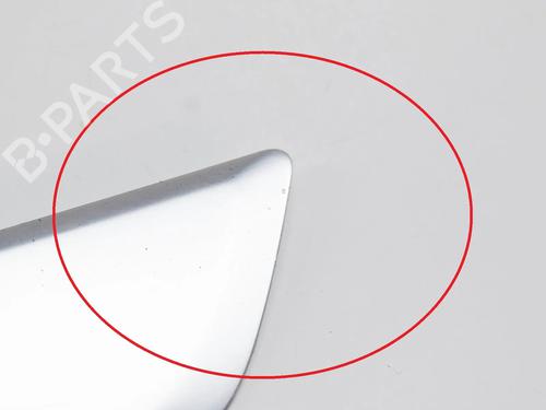 Step TESLA MODEL 3 (5YJ3) EV | BP27758571C149 