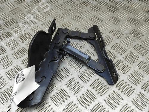 Hinge/Door check strap TESLA MODEL S (5YJS) P100D AWD | BP30394313C146