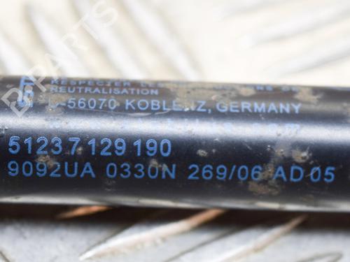 Hood lift support BMW 3 Coupe (E92) 335 d | BP14622835C139 