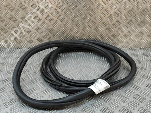 Used Rubber door seal BMW 3 Touring (F31) 318 d xDrive (143 hp) 29076213