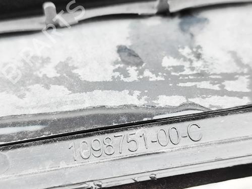 Grill TESLA MODEL 3 (5YJ3) EV | BP33697606C40  - Image 6