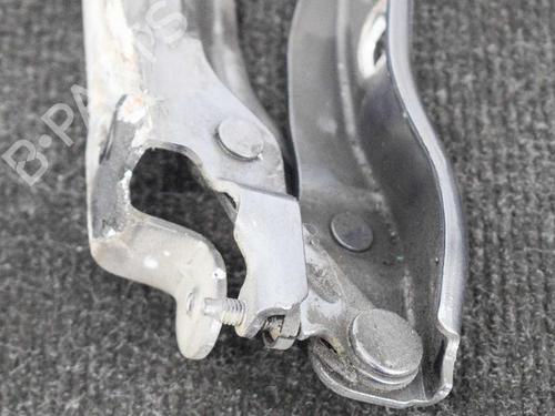 Hinge/Door check strap SKODA OCTAVIA II (1Z3) 1.6 TDI | BP14665915C146 