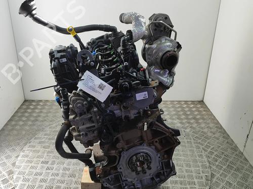Engine FORD TRANSIT CUSTOM V362 Bus (F3) 2.0 EcoBlue | BP36358417M1 - Image 3