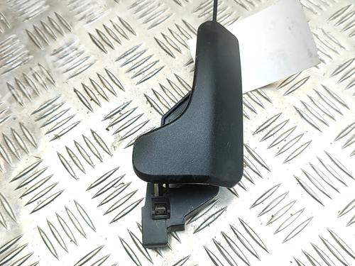 Front left interior door handle FIAT DUCATO Van (250_) 130 Multijet 2,3 D | BP31902930I13