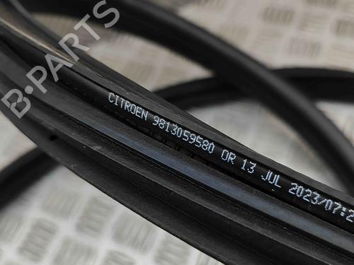 Gummiliste CITROËN C3 III (SX) 1.2 THP 110 (SXHNPS, SXHNZT, SXHNZ6) | BP29459148C142 