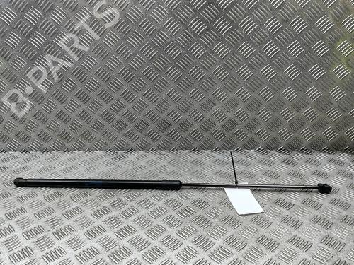 hood-lift-support-audi-q7-4mb-4mg-4mq-2015-34374802 main image