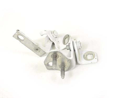 Hinge/Door check strap FORD FIESTA VII (HJ, HF) 1.0 EcoBoost | BP30224684C146