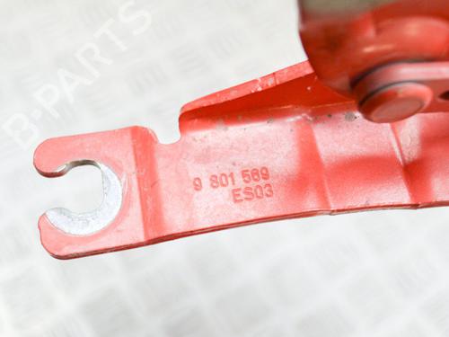 Hinge/Door check strap MINI MINI COUNTRYMAN (R60) Cooper | BP14628837C146 