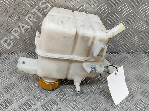 Expansion tank CHEVROLET CAPTIVA (C100, C140) 2.4 | BP26319720C120 