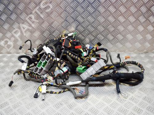 Used Wiring harness Wiring harness JAGUAR XJ (X350, X358) 4.2 (298 hp) 14629938 14629938