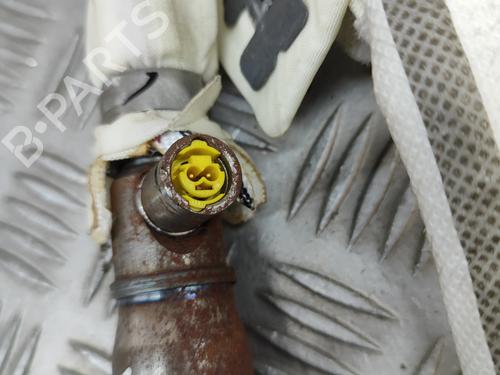 Right curtain airbag AUDI A8 D4 (4H2, 4H8, 4HC, 4HL) 3.0 TDI quattro | BP21587894C12 