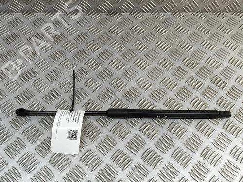 tailgate-lift-support-fiat-500-312_-2007-33373245 main image