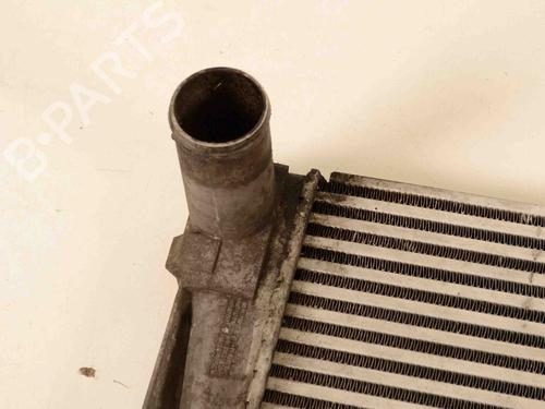 Ladeluftkühler LAND ROVER RANGE ROVER III (L322) 3.6 D 4x4 | BP30209461M30