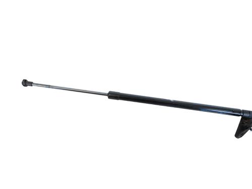 tailgate-lift-support-nissan-juke-f16_-2019-30239336 main image