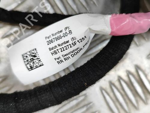 Wiring harness TESLA MODEL 3 (5YJ3) EV | BP27774429E16 