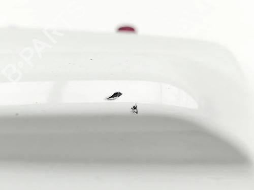 Antenne/Base VOLVO XC60 II (246) D4 | BP37076956C140 - Image 8