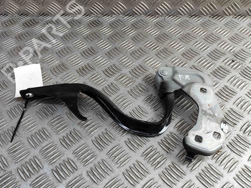 Hinge/Door check strap FIAT 500 (312_) 1.0 Mild Hybrid (312.AYD1B) | BP29373383C146 