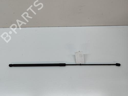 Hood lift support VW GOLF VII (5G1, BQ1, BE1, BE2) 2.0 R 4motion | BP24580826C139 