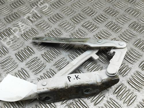 Hinge/Door check strap VW TRANSPORTER T6 Van (SGA, SGH, SHA, SHH) 2.0 TDI | BP29920509C146