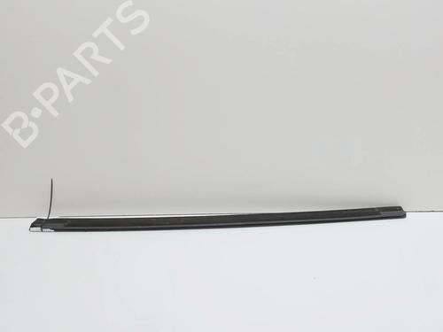 Dørliste TESLA MODEL Y (5YJY) EV Performance All-wheel Drive | BP38782994C150 - Image 4