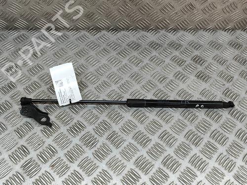 Amortecedor do capot Amortecedor do capot TOYOTA LAND CRUISER PRADO (_J15_) 2.8 D-4D (GDJ150_, GDJ155_, GDJ150, GDJ151) (177 hp) 36044036 36044036