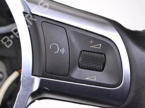 Rat AUDI R8 (422, 423) 5.2 FSI quattro | BP30249538C49