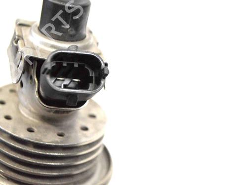 Injector LAND ROVER RANGE ROVER IV (L405) 4.4 SDV8 4x4 | BP30214972M100