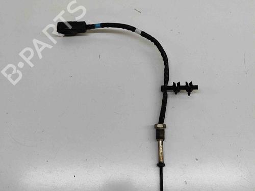 Elektronische sonde FORD TRANSIT CUSTOM V362 Van (FY, FZ) 2.0 EcoBlue mHEV (130 hp) 28557454