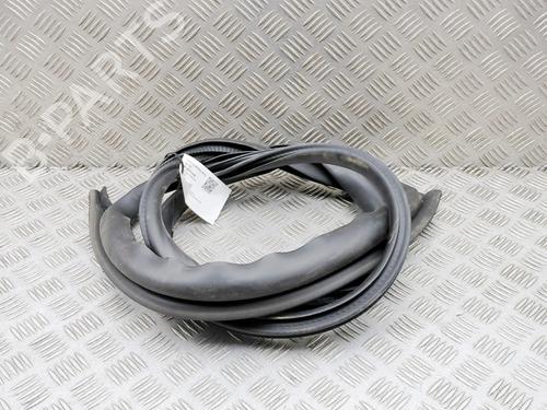 Gummiliste TESLA MODEL 3 (5YJ3) EV | BP38466979C142 - Image 6