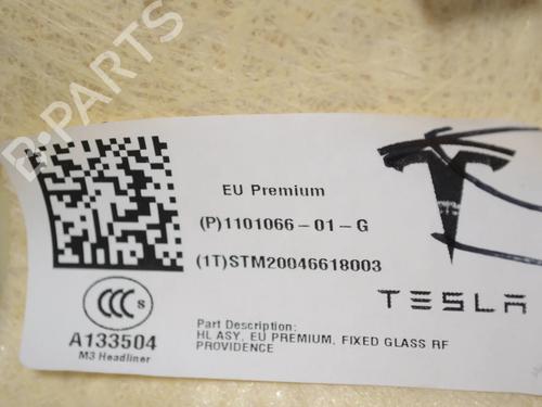 Interior roof TESLA MODEL 3 (5YJ3) EV Performance AWD | BP33366227I12  - Image 12