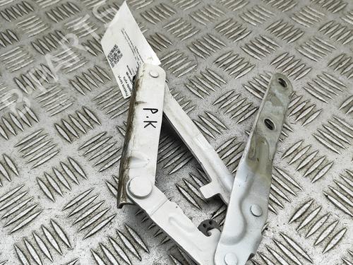 Hinge/Door check strap VW TRANSPORTER T6 Van (SGA, SGH, SHA, SHH) 2.0 TDI | BP29920509C146